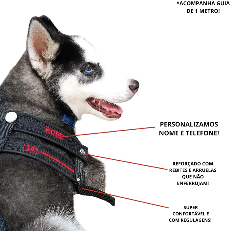Coleira Peitoral Forte com nome para cachorro anti puxão